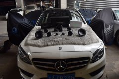 YC300܇푸bӢCV|l